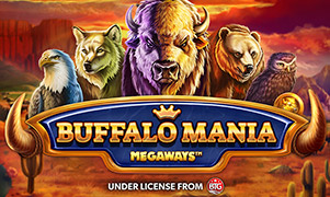 Buffalo Mania Logo